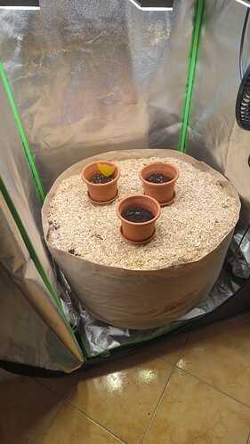 WhatsApp Bild 2025-01-14 um 13.09.05_7fdcd474