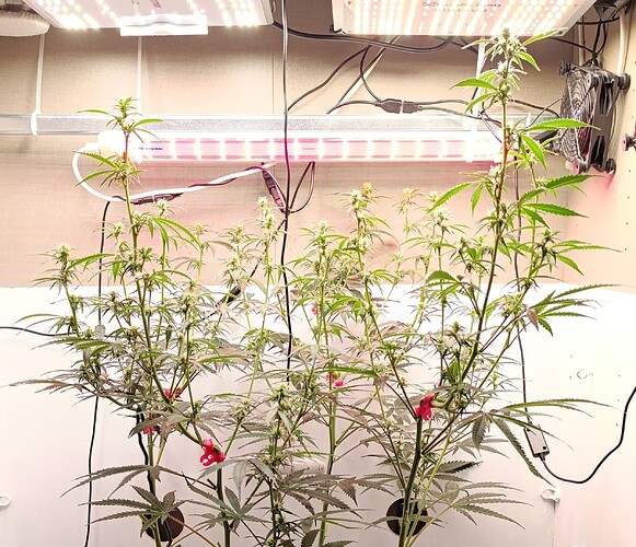 Growreport Bild 16