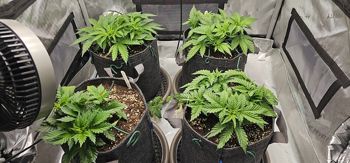 Growreport Bild 9