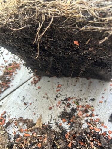 Growreport Bild 56