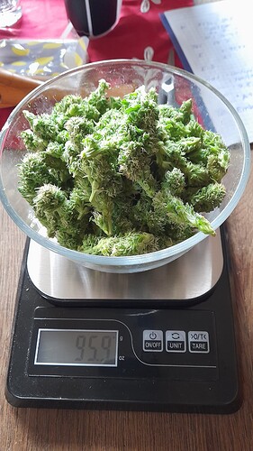 Growreport Bild 3