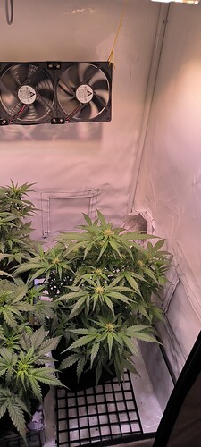 Growreport Bild 16