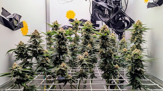 Growreport Bild 3