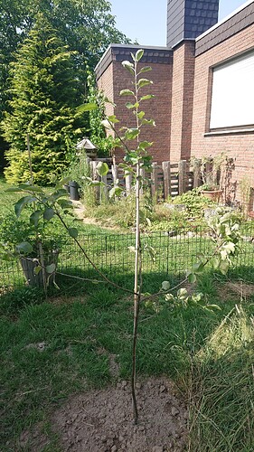 Growreport Bild 91