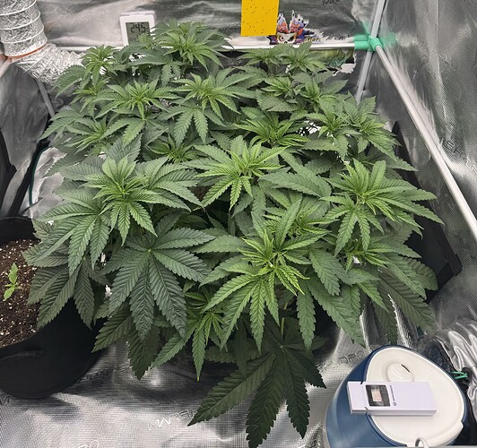 Growreport Bild 1