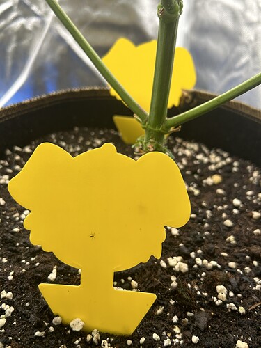 Growreport Bild 14