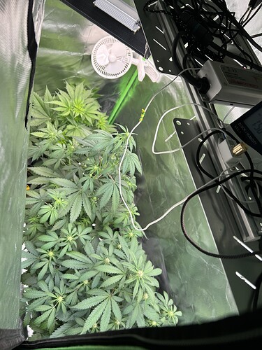 Growreport Bild 2