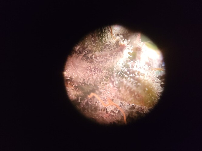 Growreport Bild 10