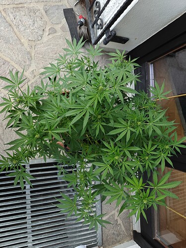 Growreport Bild 12