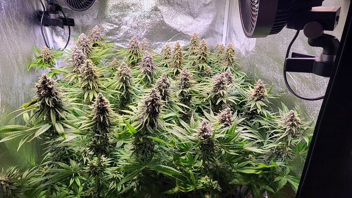 Growreport Bild 7