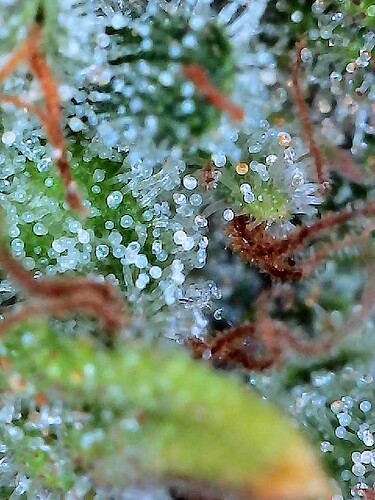 2025-07-25-23-26-43-018