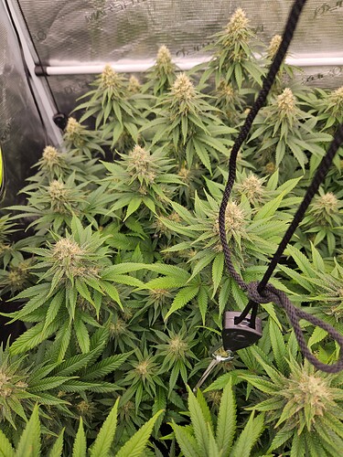 Growreport Bild 8