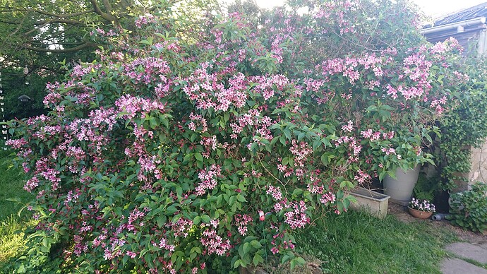 Growreport Bild 6