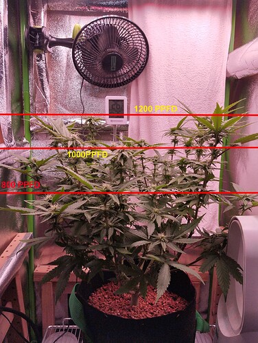Growreport Bild 12