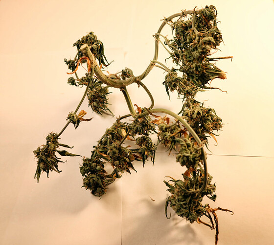 07 rh01-