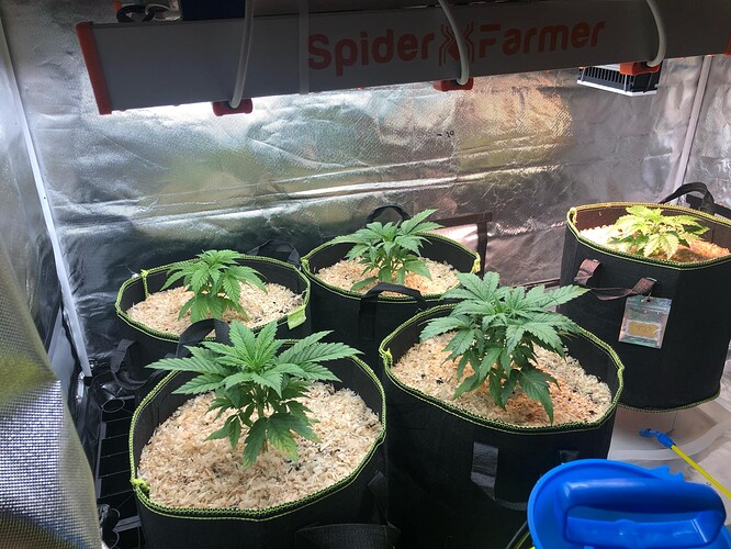 Growreport Bild 10