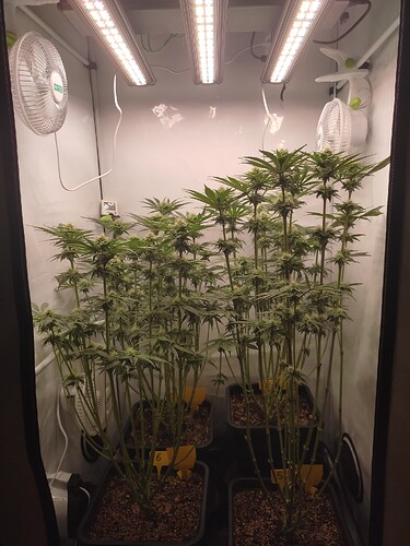 Growreport Bild 9