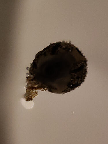 IMG20260729215333