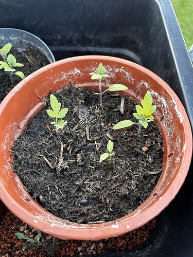 Growreport Bild 18