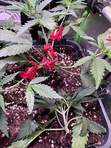 Growreport Bild 14
