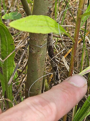 Growreport Bild 12