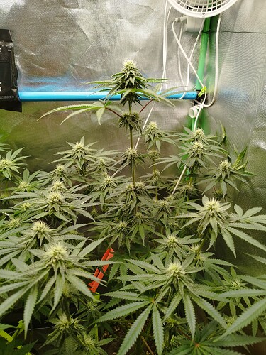 Growreport Bild 11