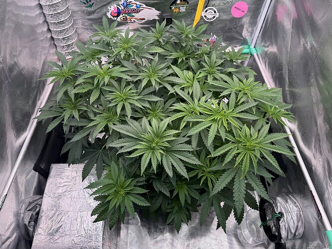 Growreport Bild 17