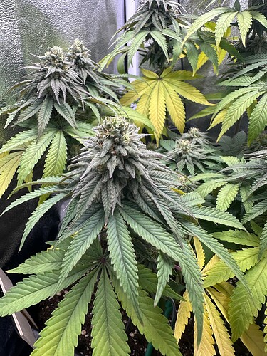 Growreport Bild 10
