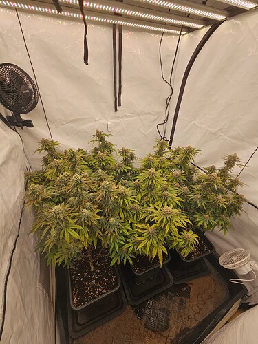 Growreport Bild 20