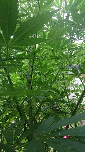 Growreport Bild 16
