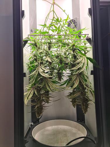 signal-2024-09-07-133442_003