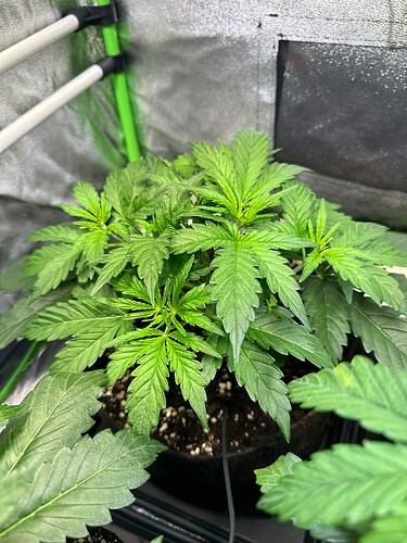 Growreport Bild 12