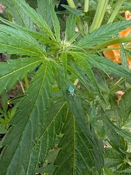 PXL_20250530_074407278