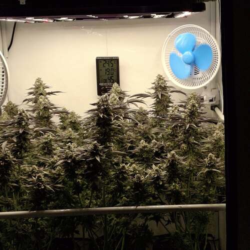 473742910_122169240194293599_5648010532137306833_n