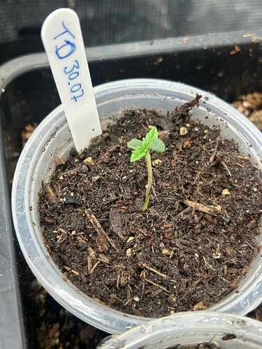 Growreport Bild 109