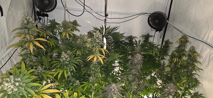 Growreport Bild 45