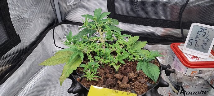 IMG_20250929_103039358