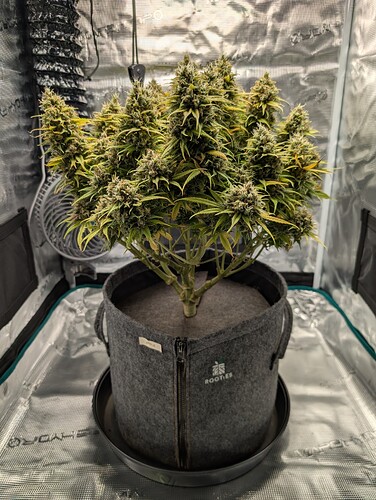 Growreport Bild 8