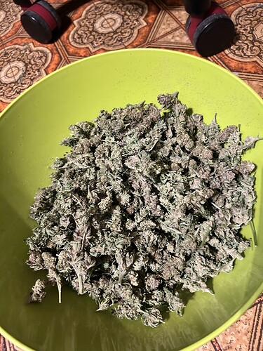 Eine Schüssel voller geernteter Cannabis-Buds.