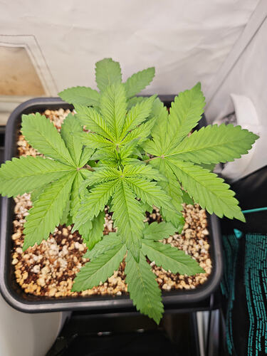 Growreport Bild 24