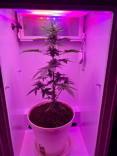 Growreport Bild 13