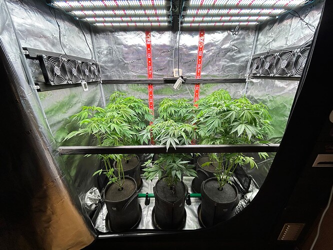 Growreport Bild 1