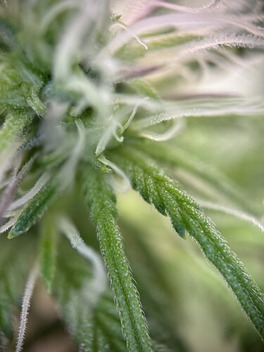 Growreport Bild 23
