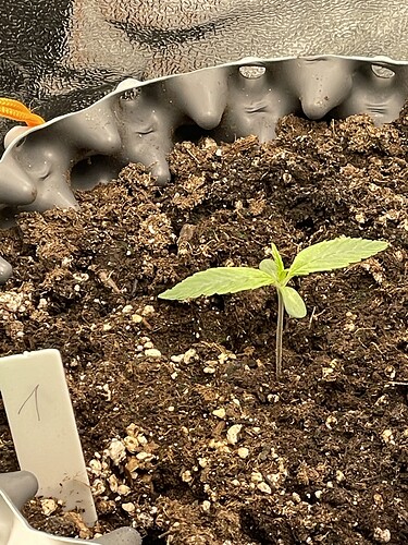 Growreport Bild 2