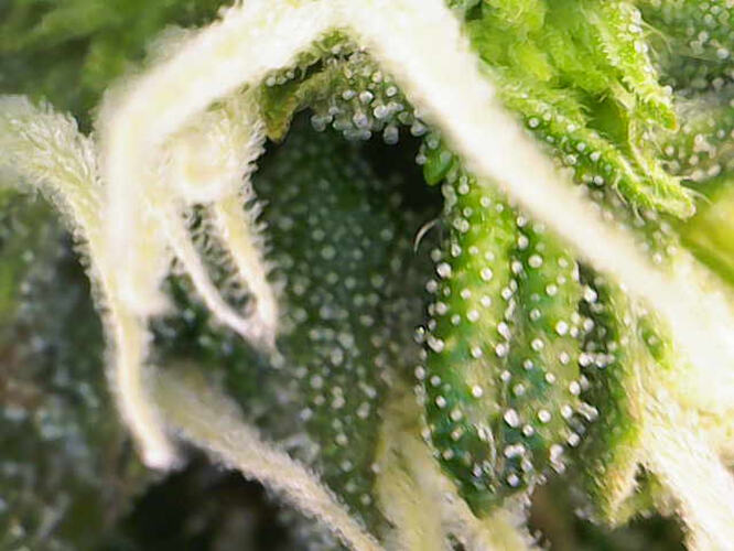 Image_2026-07-08 21_47_38_297