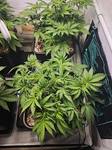 Growreport Bild 24