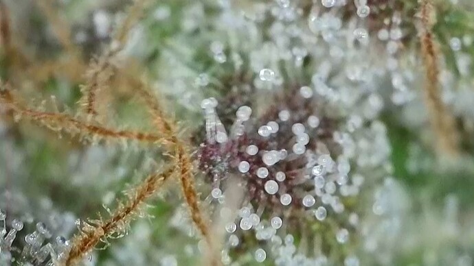 Growreport Bild 12