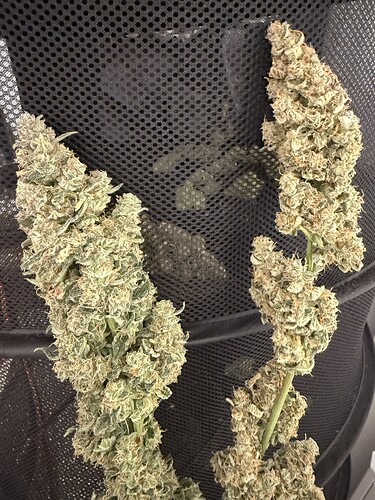 Growreport Bild 18
