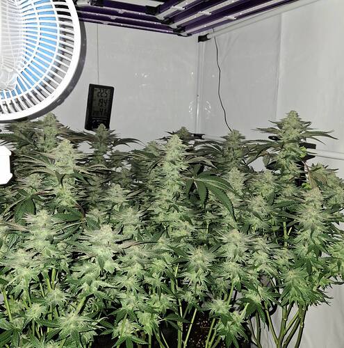 476805130_122167230110293599_3429473631834502352_n