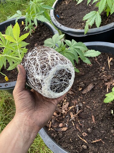 Growreport Bild 20